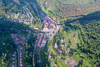 Photographie aérienne de Saint-Louis-lès-Bitche dans le département Moselle, France