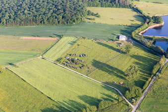 Vue aérienne de Camions militaires à Vibersviller dans le département Moselle, France