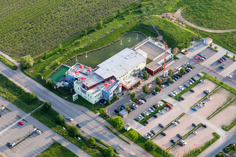 Neustadt an der Weinstraße dans le département Rhénanie-Palatinat, Allemagne depuis l'avion