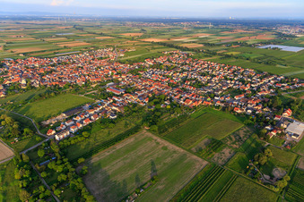 Vue aérienne de Vue de la ville depuis le nord-ouest à Meckenheim dans le département Rhénanie-Palatinat, Allemagne