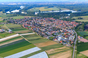 Vue aérienne de Vue de la ville depuis l'ouest à Otterstadt dans le département Rhénanie-Palatinat, Allemagne
