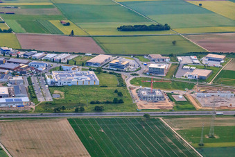 Vue aérienne de Zone commerciale Carl-Benz-Straße vue de l'est à Rülzheim dans le département Rhénanie-Palatinat, Allemagne