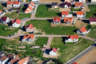 Photographie aérienne de Dans le champ inférieur à le quartier Schaidt in Wörth am Rhein dans le département Rhénanie-Palatinat, Allemagne