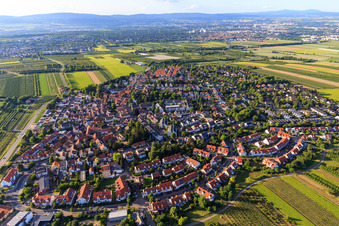Vue aérienne de Vue d'ensemble du village depuis le sud à le quartier Drais in Mainz dans le département Rhénanie-Palatinat, Allemagne
