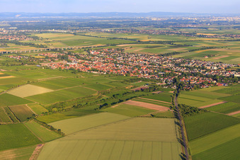 Vue aérienne de Vue de la ville depuis le nord-ouest à le quartier Pfeddersheim in Worms dans le département Rhénanie-Palatinat, Allemagne