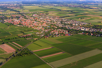 Vue aérienne de Vue de la ville depuis le nord-ouest à le quartier Pfeddersheim in Worms dans le département Rhénanie-Palatinat, Allemagne