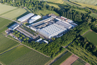 Vue aérienne de Zone industrielle et commerciale d'Enzinger Straße à le quartier Pfeddersheim in Worms dans le département Rhénanie-Palatinat, Allemagne