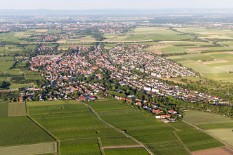 Photographie aérienne de Quartier Pfeddersheim in Worms dans le département Rhénanie-Palatinat, Allemagne