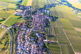 Photographie aérienne de Hohen-Sülzen dans le département Rhénanie-Palatinat, Allemagne