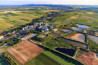 Vue aérienne de Südzucker AG à Obrigheim dans le département Rhénanie-Palatinat, Allemagne