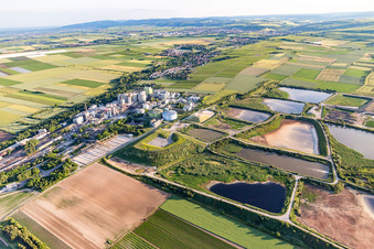 Photographie aérienne de Bassin de traitement des eaux usées de la sucrerie Südzucker AG (Palatinat) à Obrigheim dans le département Rhénanie-Palatinat, Allemagne