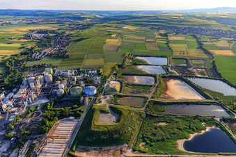 Vue oblique de Südzucker AG à Obrigheim dans le département Rhénanie-Palatinat, Allemagne