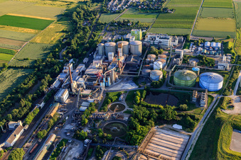 Südzucker AG à Obrigheim dans le département Rhénanie-Palatinat, Allemagne d'en haut