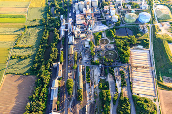 Südzucker AG à Obrigheim dans le département Rhénanie-Palatinat, Allemagne hors des airs