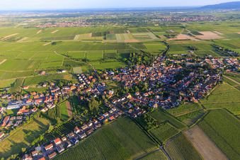 Vue aérienne de Vue du nord à Großkarlbach dans le département Rhénanie-Palatinat, Allemagne