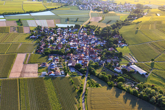 Vue aérienne de Vue de la ville depuis l'est à Bissersheim dans le département Rhénanie-Palatinat, Allemagne