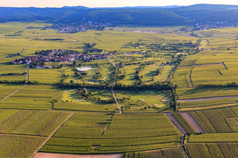 Vue aérienne de Golf Garden Route des vins allemands - Dackenheim - GOLF absolu du nord-est à Dackenheim dans le département Rhénanie-Palatinat, Allemagne