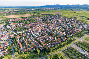 Photographie aérienne de Freinsheim dans le département Rhénanie-Palatinat, Allemagne