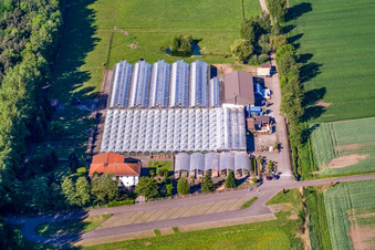 Vue aérienne de Terre de cactus Steinfeld à Steinfeld dans le département Rhénanie-Palatinat, Allemagne