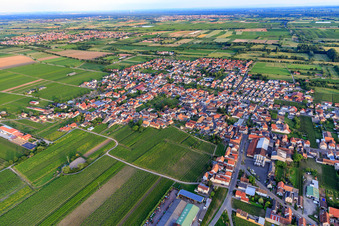 Vue aérienne de Vue de la ville depuis le nord-ouest à Niederkirchen bei Deidesheim dans le département Rhénanie-Palatinat, Allemagne