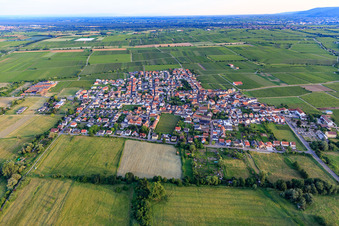 Vue aérienne de Vue de la ville depuis le nord à Ruppertsberg dans le département Rhénanie-Palatinat, Allemagne