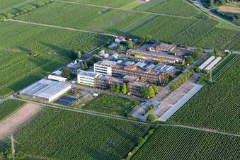 Vue aérienne de Du Centre de services ruraux Rheinpfalz à le quartier Mußbach in Neustadt an der Weinstraße dans le département Rhénanie-Palatinat, Allemagne