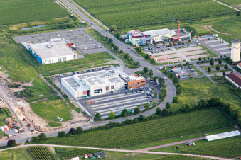 Vue aérienne de Cineplex Décathlon à Neustadt an der Weinstraße dans le département Rhénanie-Palatinat, Allemagne