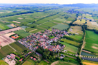 Vue aérienne de Vue d'ensemble du village depuis le nord-est à Großfischlingen dans le département Rhénanie-Palatinat, Allemagne