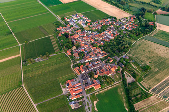 Vue aérienne de Vue d'ensemble du village depuis le nord-est à Kleinfischlingen dans le département Rhénanie-Palatinat, Allemagne