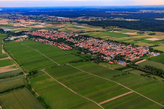 Vue aérienne de Vue de la ville depuis le nord-ouest à le quartier Niederhochstadt in Hochstadt dans le département Rhénanie-Palatinat, Allemagne