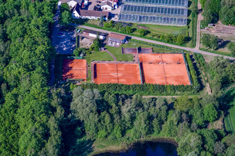 Vue aérienne de Court de tennis à Bienwald à Steinfeld dans le département Rhénanie-Palatinat, Allemagne