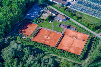 Vue aérienne de Court de tennis à Bienwald à Steinfeld dans le département Rhénanie-Palatinat, Allemagne