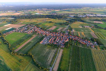 Vue aérienne de Vue de la ville depuis le nord à Erlenbach bei Kandel dans le département Rhénanie-Palatinat, Allemagne