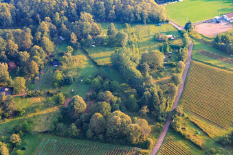 Vue aérienne de Jardin à l'orée de la forêt à Dörrenbach dans le département Rhénanie-Palatinat, Allemagne
