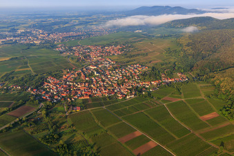 Vue aérienne de Village viticole du nord à le quartier Rechtenbach in Schweigen-Rechtenbach dans le département Rhénanie-Palatinat, Allemagne