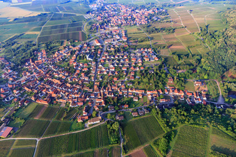 Vue oblique de Village viticole du nord à le quartier Rechtenbach in Schweigen-Rechtenbach dans le département Rhénanie-Palatinat, Allemagne