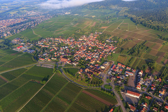 Vue aérienne de Village viticole de l'est à le quartier Schweigen in Schweigen-Rechtenbach dans le département Rhénanie-Palatinat, Allemagne