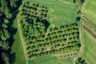 Enregistrement par drone de Wissembourg dans le département Bas Rhin, France