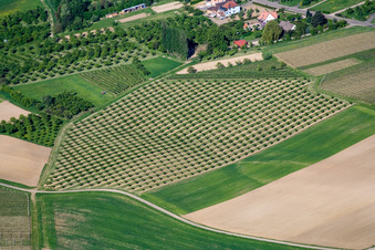 Image drone de Wissembourg dans le département Bas Rhin, France