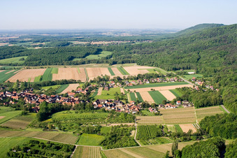 Image drone de Cleebourg dans le département Bas Rhin, France