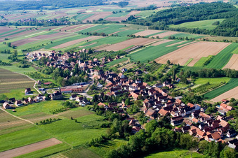 Vue aérienne de Champs agricoles et terres agricoles à Cleebourg dans le département Bas Rhin, France