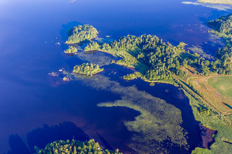 Vue aérienne de Nénuphars dans le lac Åsnen aux couleurs de la lande dans le Småland à Skäggalösa dans le département Kronoberg, Suède