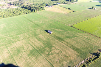 Hölmö