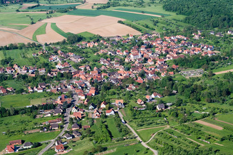 Photographie aérienne de Champs agricoles et terres agricoles à Lampertsloch dans le département Bas Rhin, France