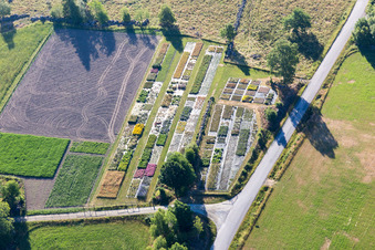 Vue aérienne de Opparyd dans le département Kronoberg, Suède