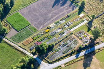 Vue oblique de Opparyd dans le département Kronoberg, Suède