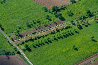 Mitschdorf dans le département Bas Rhin, France vue du ciel