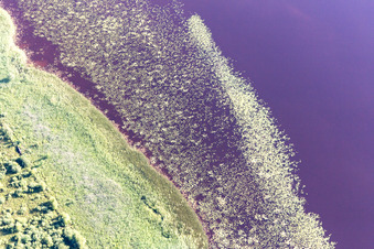 Vue d'oiseau de Torne dans le département Kronoberg, Suède