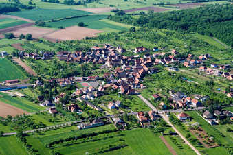 Vue aérienne de Vue sur le village à Dieffenbach-lès-Wœrth dans le département Bas Rhin, France