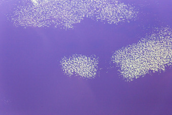 Hunna dans le département Kronoberg, Suède depuis l'avion